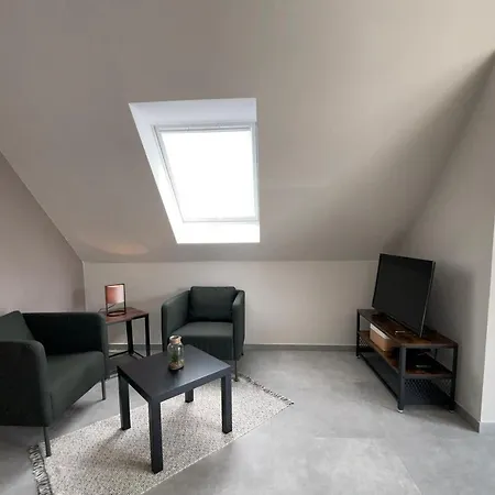 Studio - Apartment Steinmetz Mit Balkon Reken Exterior photo